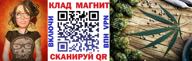 Что такое Выборг Alpha-PVP  Канабис  Меф мяу мяу  Амфетамин  Гашиш 
