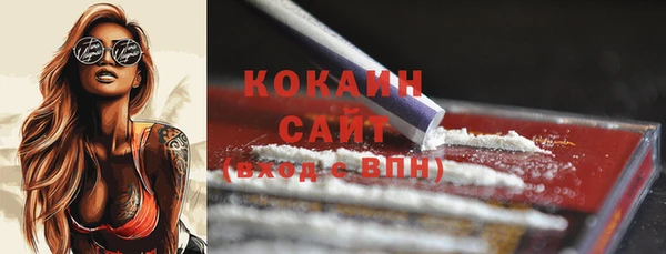 дмт Вяземский