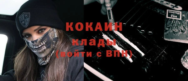 дмт Вяземский