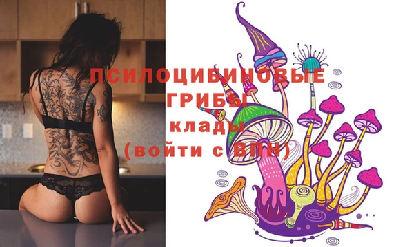 дмт Вяземский