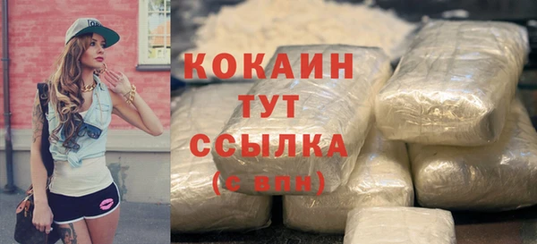 дмт Вяземский