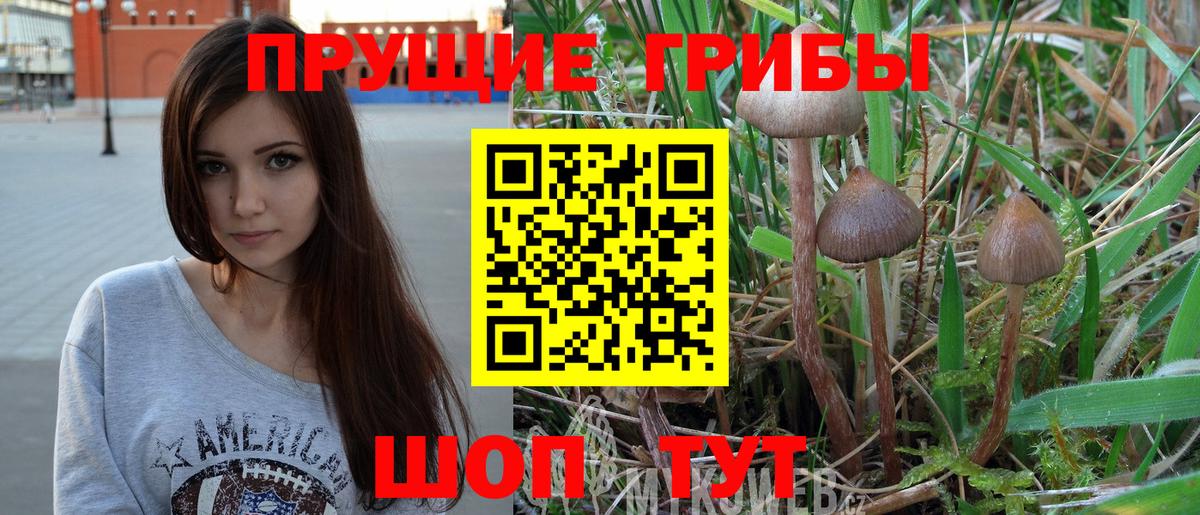 Псилоцибиновые грибы Magic Shrooms  продажа наркотиков  Выборг 
